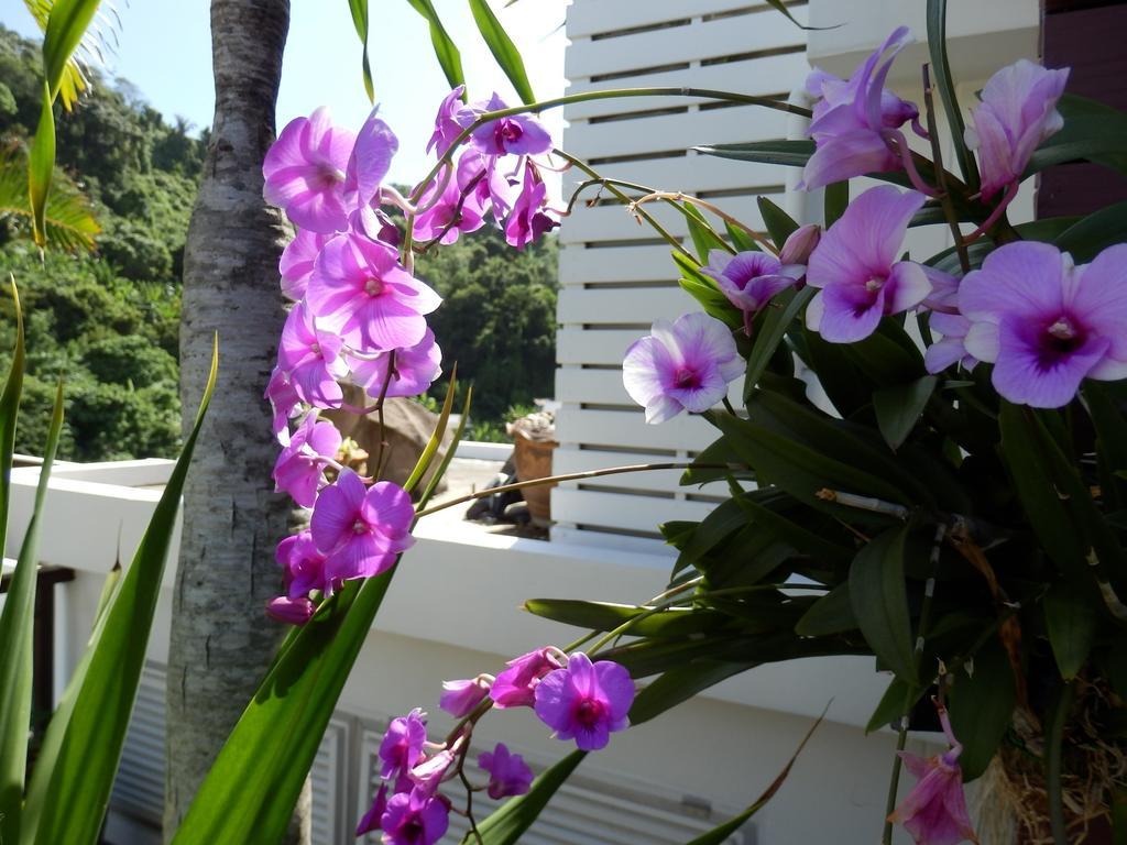 Kata Beach Studio Phuket Buitenkant foto